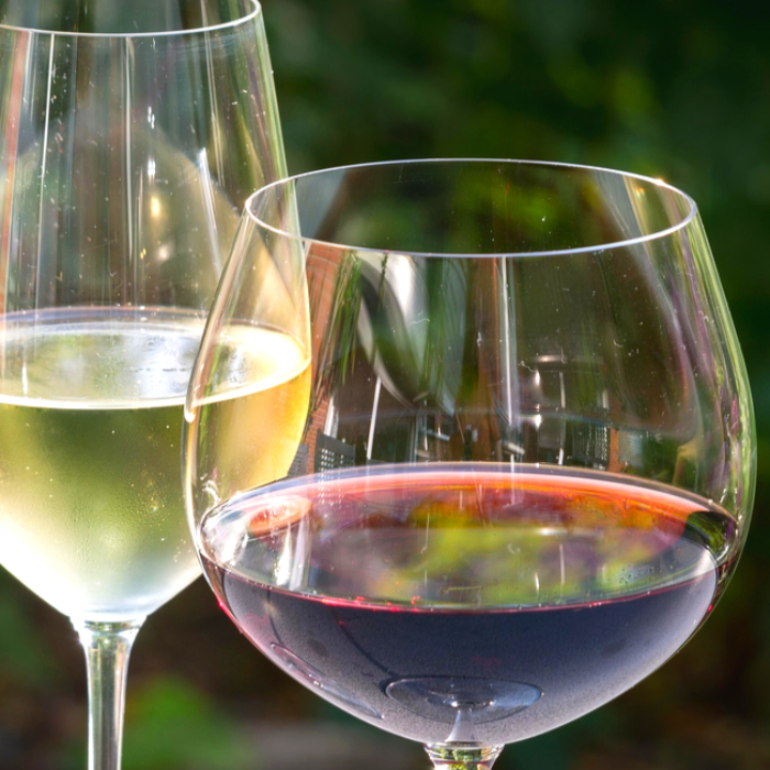 The Difference Between Red & White Wine Glasses