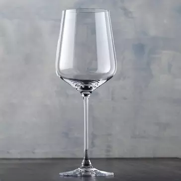 Wine enthusiast fusion infinity chardonnay wine glass against a grey background