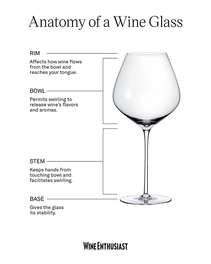 Wine enthusiast anatomy of a wine glass infographic